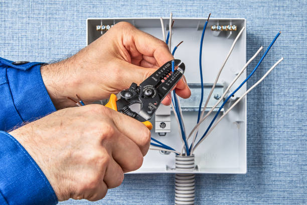 Best Electrical Panel Upgrades  in Occoquan, VA